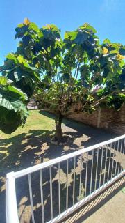 Refúgio até 8 pessoas Churrasqueira e pátio cercado - 5