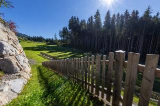 Nationalpark Chalet Daberspitze - 9