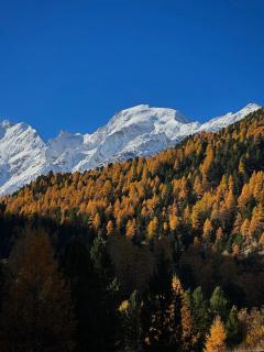 Hotel GRACE LA MARGNA ST MORITZ - 7