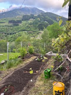 Waterfall House - Art and Design, Ski, Hike, Swim - 3