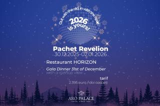 Hotel Aro Palace - 3