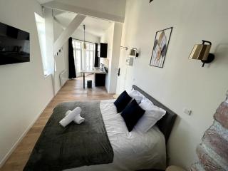 Sous les Toits - 2p Centre-ville - 6