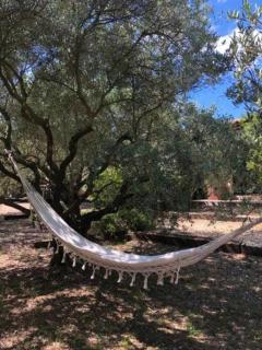 La Matina Family Haven with Olive Garden Oasis - 1