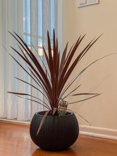 RH Apartment, a cozy apartment near Bus Station - 5