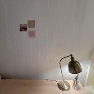 코튼스테이 Cottonstay - 1