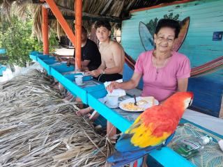 Vista Linda Cabaña - 8