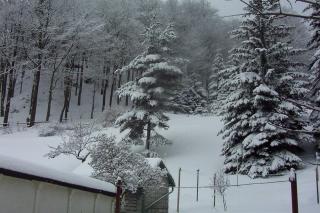 Ferienhaus im Pochwerksgrund - 8