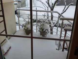 Ferienhaus im Pochwerksgrund - 5