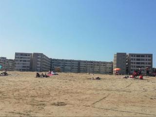 El depa de la reina - 0