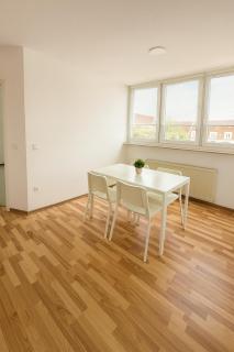 SUNNYHOME Monteurwohnungen und Apartments in Nittendorf - 1