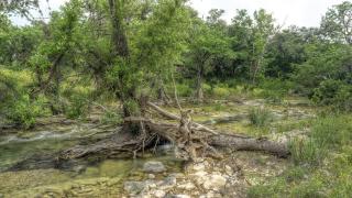 Cypress Hollow Cabin - 1