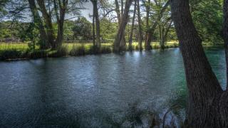 Humming Bird Haven - 3