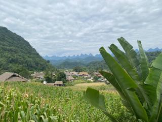 Ha Giang Uphill Coffee Farmstay - 7