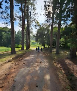 Cabana Rota do Vinho - 0