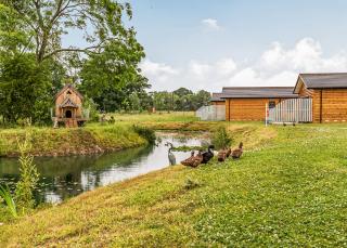 Flaxton Meadows Luxury Lodges - 9