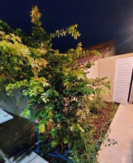 Apto 1 Qto 2 km Expominas, 1,7 km Arena MRV AP 3 - 7