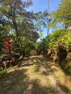 Fairytale Jungle Cottage by the Sea, Bocas - 9