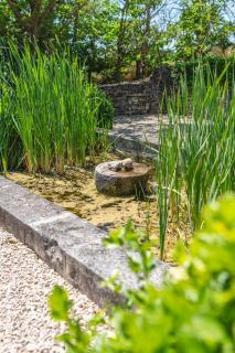 Mas provençal vue sur les vignes & Sainte-Victoire - 3
