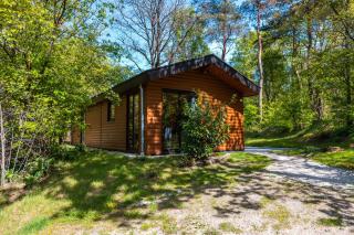 Vakantiepark De Wiltzangh - 1