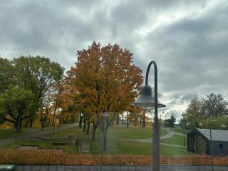 Crown Apartment Park View - 2