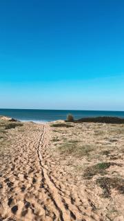 Saint Saus - Casa en Sauce de Portezuelo, Maldonado - 7