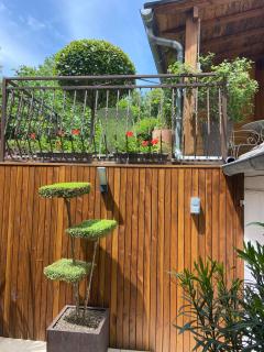 Le gîte de Marina - 9