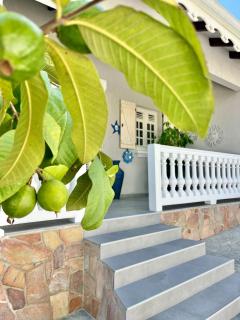 Villa Maëva, A l'entrée du Diamant - 8