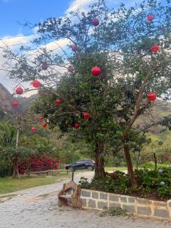 Apt Flat 225 Condomínio Pedra do Rodeadouro - 5