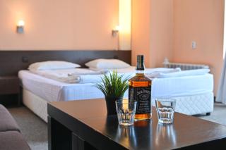 Хотел Елица - 4