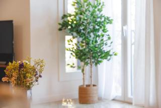 Bravissimo Pedret, Barri Vell apartment - 6