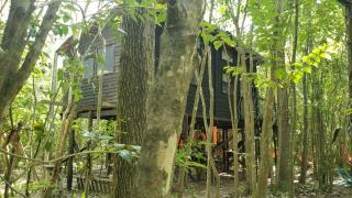 Espacio Las Abejas Cabañas Las Abejas - 9