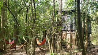 Espacio Las Abejas Cabaña Las Abejas - 8