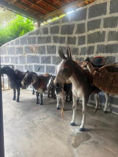 Apt Flat 225 Condomínio Pedra do Rodeadouro - 7