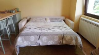 House in the Shambhalla Forest - 3