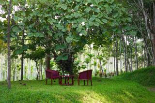 Aquatica by bough'n villa - 8