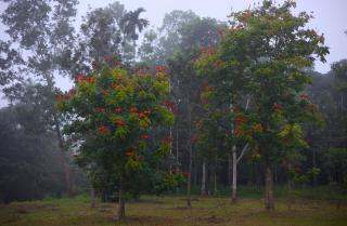 Aquatica by bough'n villa - 2