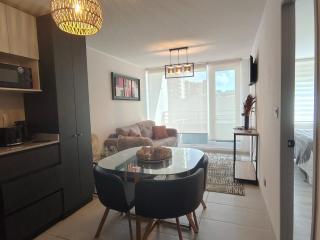 Céntrico en Concepción 1D 1B 1E - 3