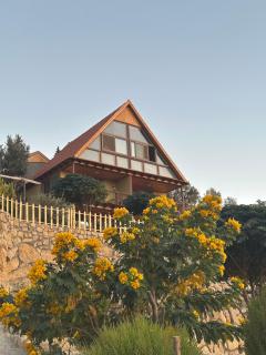 Dana luxury huts - 0