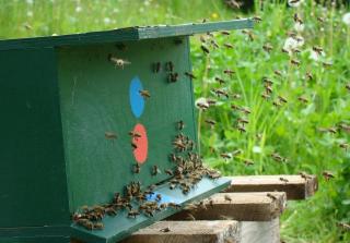 Ferienwohnung im Atelierhaus auf dem Künstlerhof - 5