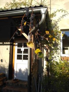 Ferienwohnung im Atelierhaus auf dem Künstlerhof - 4