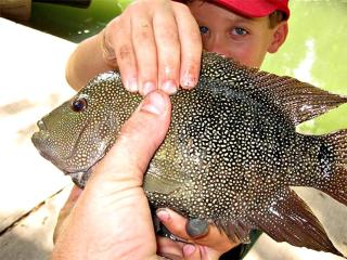 Texas Waterside Escape: Glamping Holiday in a Tented Cabin with Shared Comforts - 5