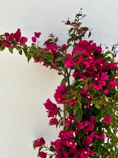 Delight Apartments suites - 9