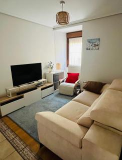 Acogedor apartamento equipado parque natural Aitzgorri-Aratz - 1