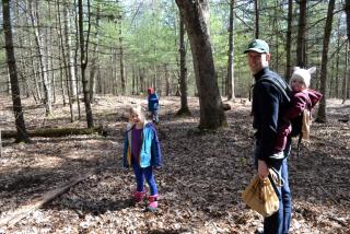 Eco-Friendly, Abstract Treehouse Surrounded by Wildlife and Hiking Trails For a Special Getaway in Sparrow Bush, New York - 9