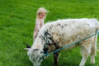 Lakefront Cottage Fully Equipped with Excellent Location in Saint Croix Falls, Wisconsin - Saint Croix Falls - 8