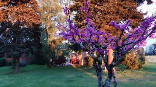 Gite Jardin De Pomarede - Prigonrieux - 1