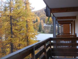 Ecrin des neiges vars appt 4 ou 6 personnes 100 mètres des pistes - 1