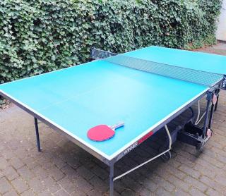 Ferienwohnung im Grünen - 7