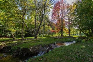 Matney Ridge Estate - 7