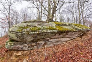 Beaver Rock Lodge - 7